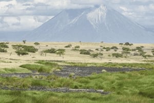 Arusha: Tour de 3 días al lago Natron con visita a una aldea masái