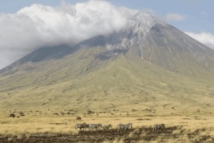 Arusha: Tour de 3 días al lago Natron con visita a una aldea masái