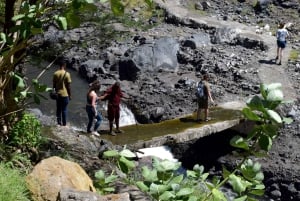 Arusha: Dagsutflykt till Natronsjön (promenad vid sjön och vandring till vattenfall)