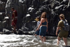 Arusha: Dagsutflykt till Natronsjön (promenad vid sjön och vandring till vattenfall)