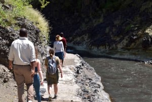 Arusha: Dagsutflykt till Natronsjön (promenad vid sjön och vandring till vattenfall)