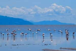 Arusha: Dagsutflykt till Natronsjön (promenad vid sjön och vandring till vattenfall)