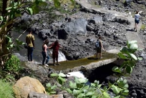 Arusha: Natron-järven päiväkierros (kävely järvellä ja vaellus vesiputoukselle)