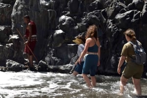 Arusha: Natron-järven päiväkierros (kävely järvellä ja vaellus vesiputoukselle)