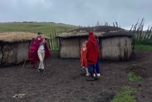 Arusha/Moshi: tour del villaggio Masai e sorgenti calde di Chemka