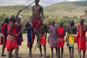 Arusha : visite guidée Maasai Boma Cultural Adventure