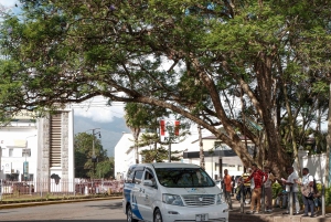 Arusha: Guidet tur til Maasai-markedet
