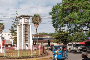 Arusha: Guidet tur til Maasai-markedet