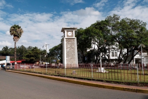 Arusha: Guidet tur til Maasai-markedet