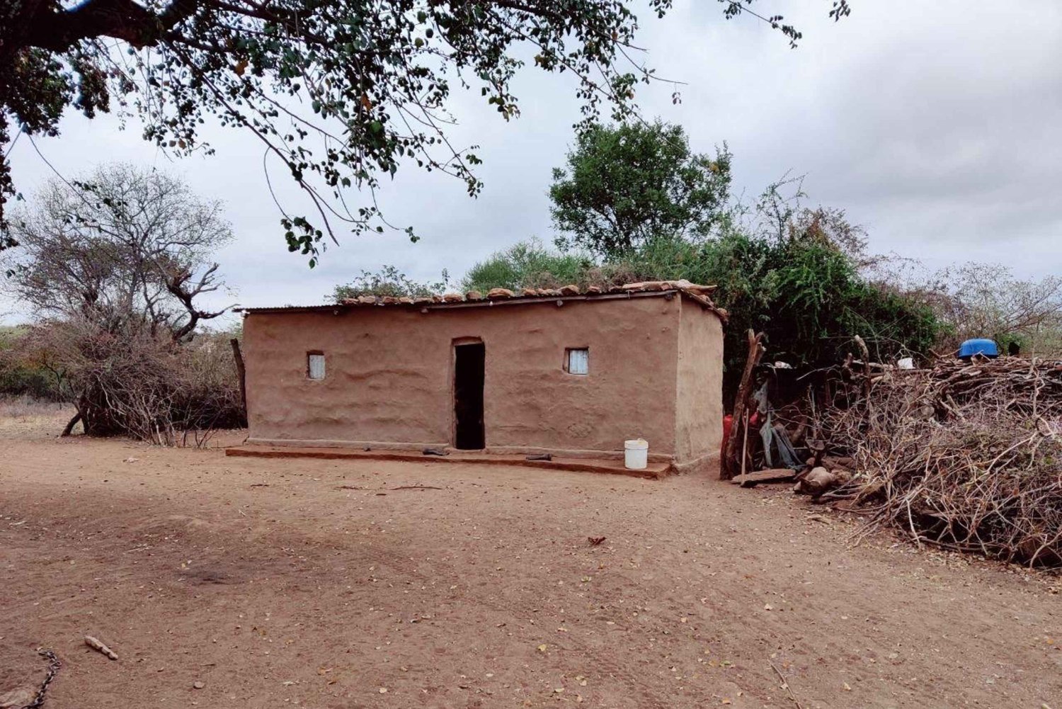 Arusha: Excursão de um dia à aldeia Maasai e à vida selvagem