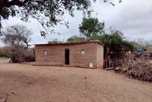 Arusha : excursion d'une journée au village masaï et à la faune sauvage