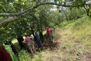 Arusha : excursion d'une journée au village masaï et à la faune sauvage