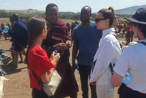Arusha: Maasai Village Tour