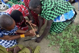 Arusha: Maasai Dorf Tour