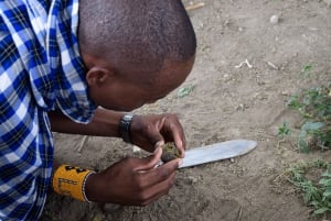Arusha: Maasai Dorf Tour