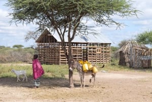 Arusha: Maasai Dorf Tour