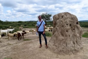 Arusha: Maasai Dorf Tour