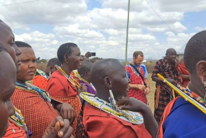 Arusha: Rundtur i masai-landsbyen
