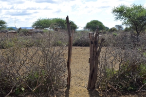 Arusha: Rundtur i masai-landsbyen