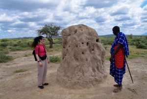 Arusha: Rundtur i masai-landsbyen