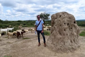 Arusha: Rundtur i masai-landsbyen