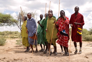 Arusha: Rundtur i masai-landsbyen