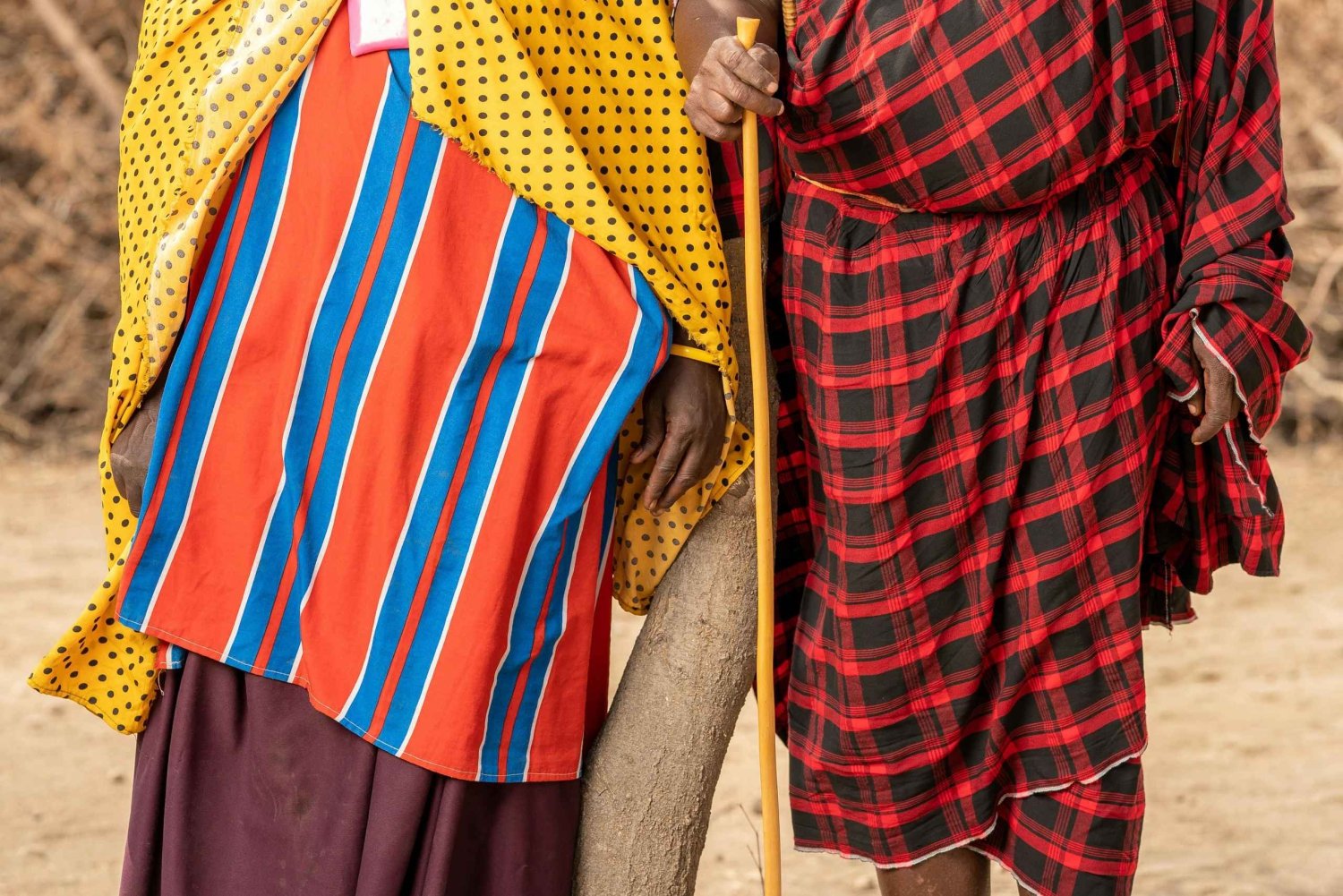 Arusha: 5 Day Big Five Tanzania Safari Adventure