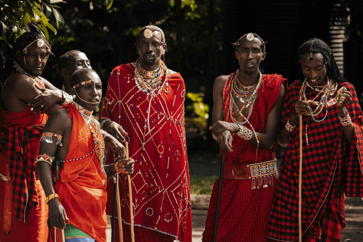 Arusha: 5 Day Big Five Tanzania Safari Adventure