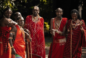 Arusha: 5 Day Big Five Tanzania Safari Adventure