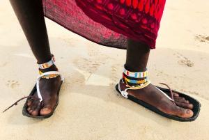 Arusha: 5 Day Big Five Tanzania Safari Adventure