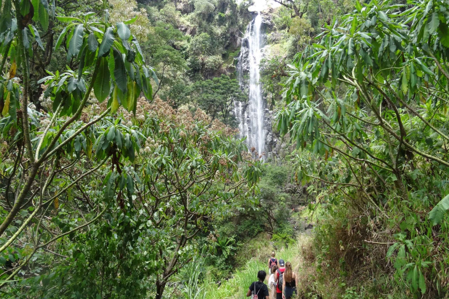 Arusha: Materuni Waterfall and Coffee Tour with Packed Lunch