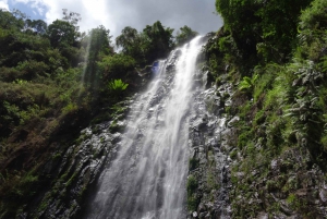 Arusha: Materuni Waterfall and Coffee Tour with Packed Lunch