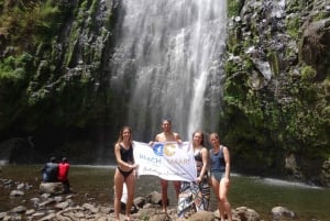 Arusha: Cachoeira Materuni e excursão de café com almoço embalado