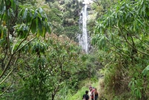 Arusha: Cachoeira Materuni e excursão de café com almoço embalado