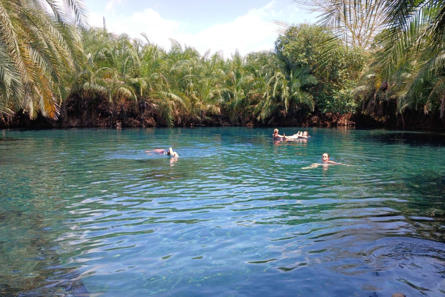 Arusha: Cascatas de Materuni e Fontes Termais de Chemka