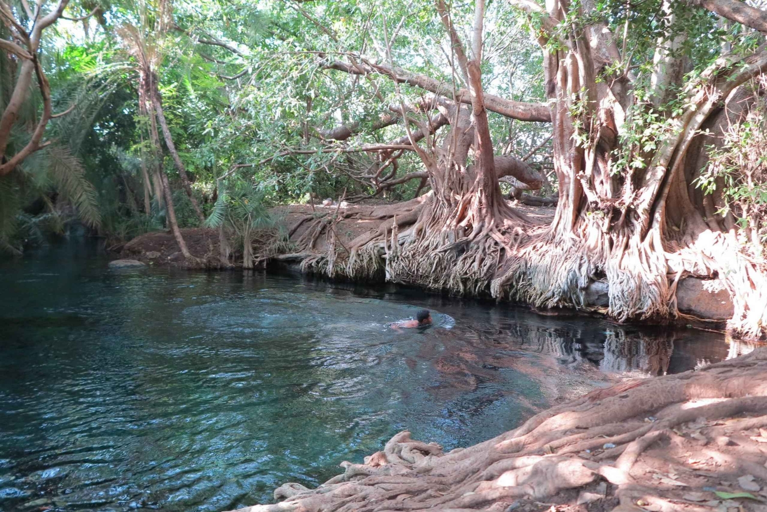 Arusha: Cascatas de Materuni e Fontes Termais de Chemka