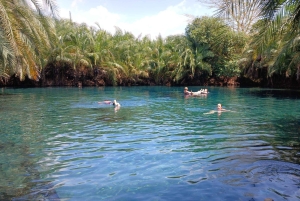 Arusha: Cascatas de Materuni e Fontes Termais de Chemka
