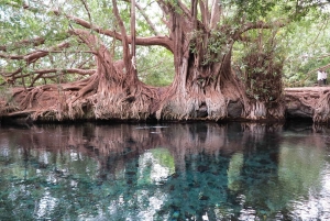 Arusha: Cascatas de Materuni e Fontes Termais de Chemka