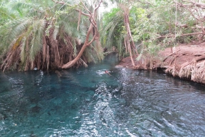 Arusha: Cascatas de Materuni e Fontes Termais de Chemka