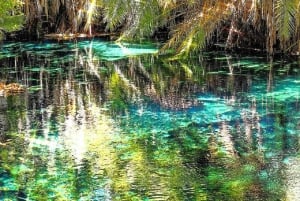 Arusha: Materuni Waterfalls, Coffee, and Hotsprings Tour