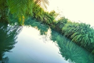 Arusha: Materuni Waterfalls, Coffee, and Hotsprings Tour