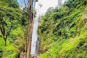 Arusha: Materuni-Wasserfälle, Kaffee & Moshi-Städtetour