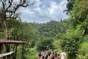 Arusha: Materuni-Wasserfälle, Kaffee & Moshi-Städtetour