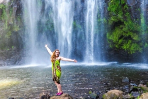 Arusha: ruta de senderismo a las cascadas de Materuni con almuerzo y café