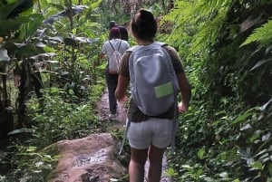 Arusha: ruta de senderismo a las cascadas de Materuni con almuerzo y café