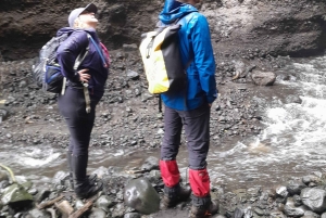 Arusha: Merun kahvitila, kuumat lähteet ja auringonlaskukierros