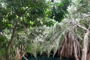 Arusha: Merun kahvitila, kuumat lähteet ja auringonlaskukierros