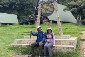 Arusha| Moshi: 5 dagars vandring på Kilimanjaro via Marangu-rutten