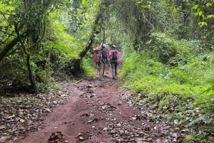 Arusha| Moshi: 5 dagars vandring på Kilimanjaro via Marangu-rutten