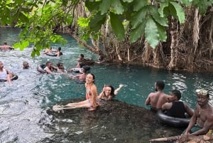 Arusha/Moshi Hot Springs Tour (Chemka) med Kingstone Asilia